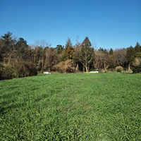 森に隣接した貴山農園