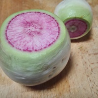 オーガニック野菜