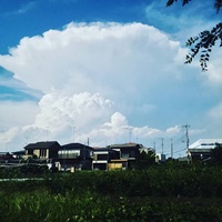 貴山農園の風景